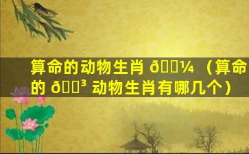 算命的动物生肖 🐼 （算命的 🐳 动物生肖有哪几个）